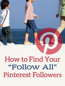 Find Your Follow All Pinterest Followers